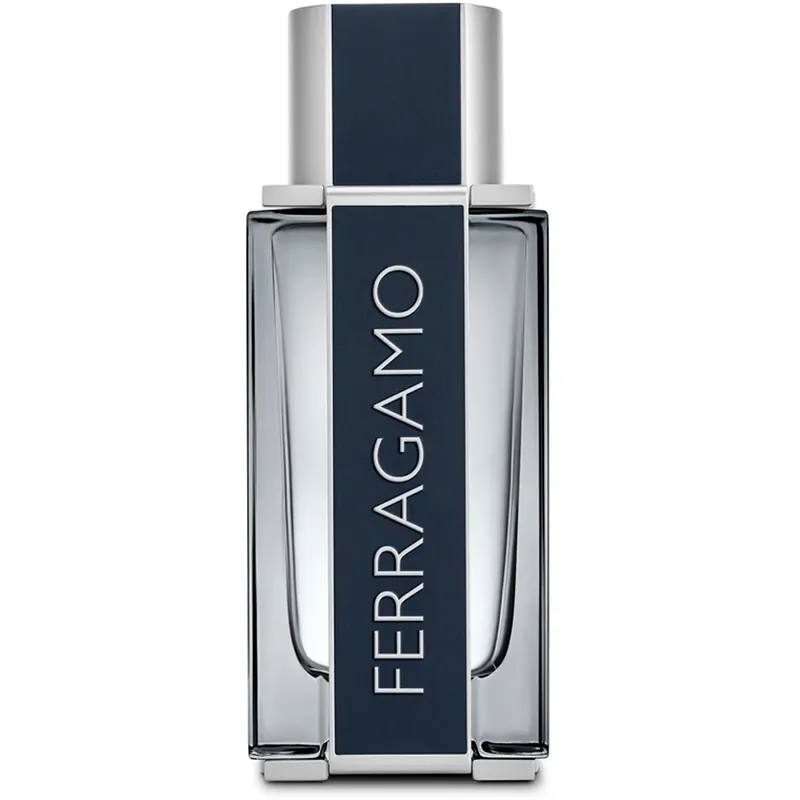 Flash-Tarjous FerragamoFerragamo MenEau de Toilette 100 ml