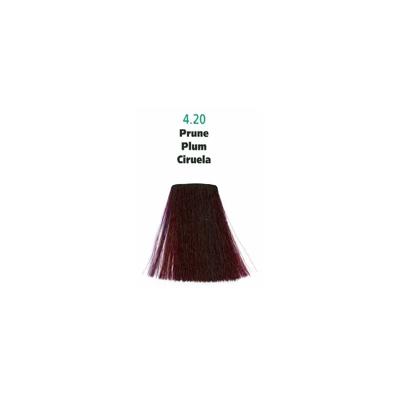 Bestseller Generik Hair Color Plum 4.20 40 ml